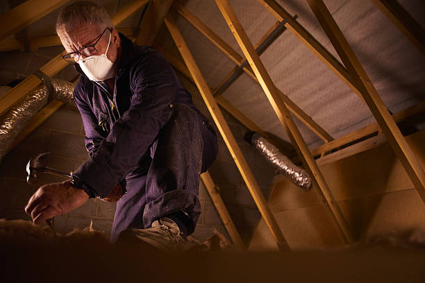 Best Insulation Maintenance and Repair in Shady Spring, WV